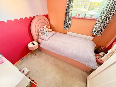 Picture 7